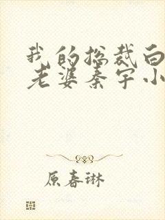 我的总裁白富美老婆秦宇小说原文免费阅读