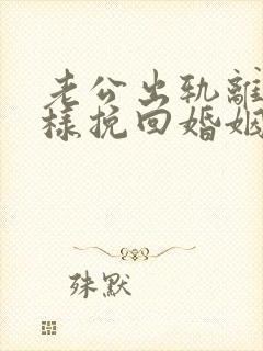 老公出轨离婚怎样挽回婚姻封面