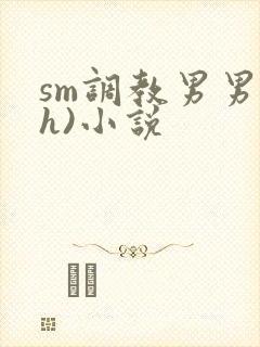 sm调教男男(h)小说