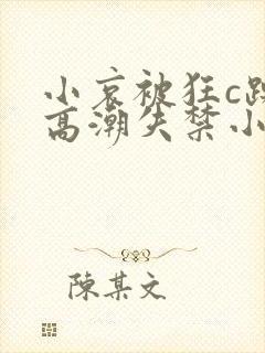 小哀被狂c躁到高潮失禁小说