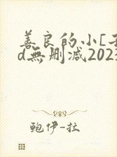 善良的小[子hd无删减2023