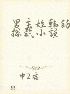 男主姓韩的霸道总裁小说