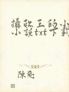 摄政王的小闲妻小说txt下载