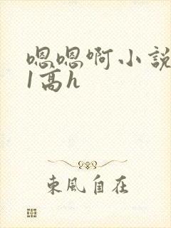 嗯嗯啊小说1v1高h