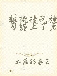 离职后我被前上司缠上了免费阅读app