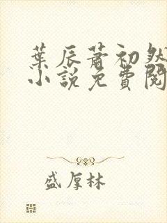 叶辰萧初然长篇小说免费阅读