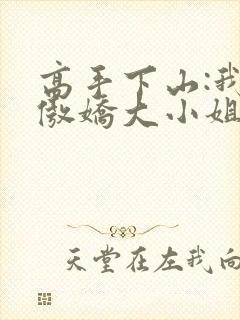 高手下山:我的傲娇大小姐