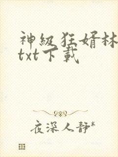 神级狂婿林平之txt下载