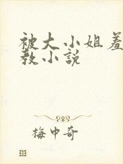 被大小姐羞耻调教小说