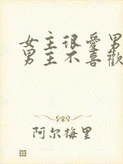 女主很爱男主但男主不喜欢她的小说