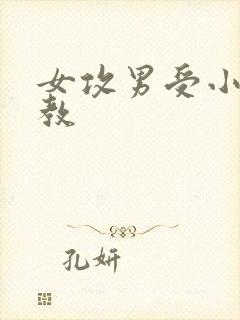 女攻男受小说调教