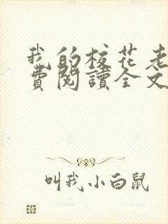 我的校花老婆免费阅读全文