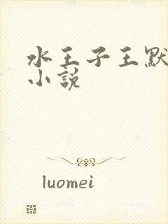 水王子王默同人小说