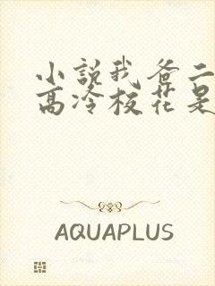 小说我爸二婚,高冷校花是我妹