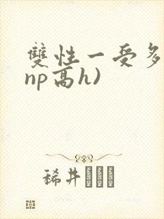 双性一受多攻(np高h)