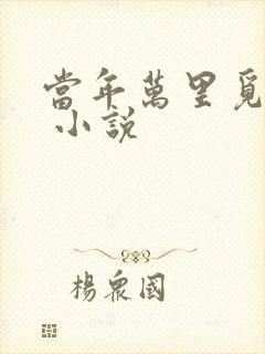 当年万里觅封侯 小说