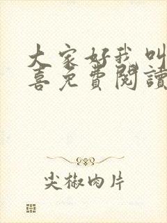 大家好我叫林小喜免费阅读封面