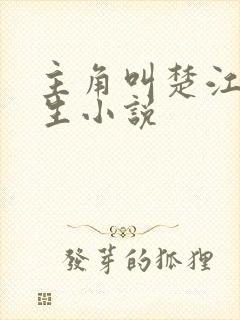 主角叫楚江的重生小说封面