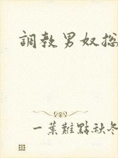 调教男奴总裁封面