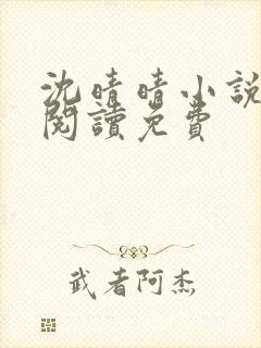 沈晴晴小说在线阅读免费