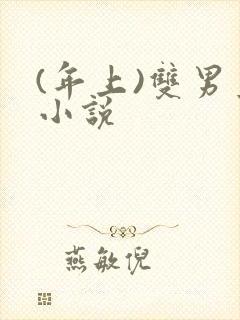 (年上)双男主小说