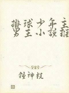 排球少年主受双男主小说推荐