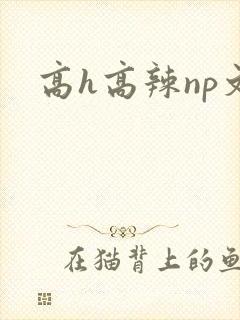 高h高辣np文