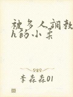 被多人调教失禁h的小柔封面