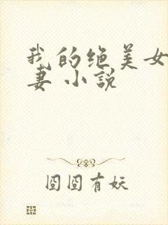我的绝美女神娇妻 小说