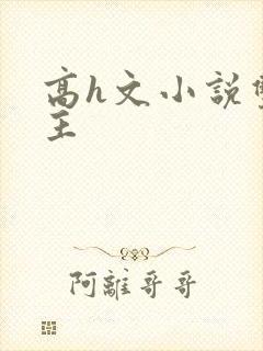 高h文小说双男主