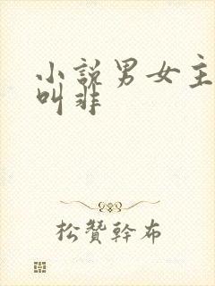 小说男女主名字叫非