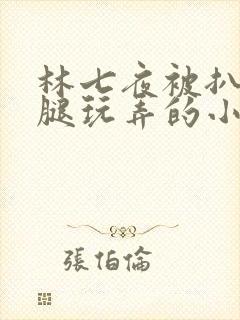 林七夜被扒开双腿玩弄的小说