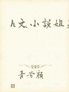h文小说姐夫