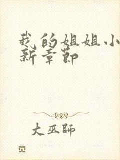 我的姐姐小说最新章节