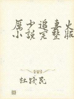 厉少追妻火葬场小说完整版大结局