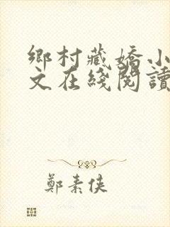 乡村藏娇小说全文在线阅读