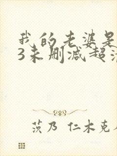 我的老婆是大佬3未删减超清