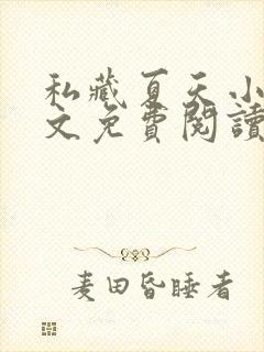 私藏夏天小说全文免费阅读笔趣阁