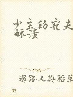 少主的宠夫女尊 酥渣封面