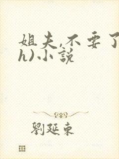姐夫,不要了(h)小说