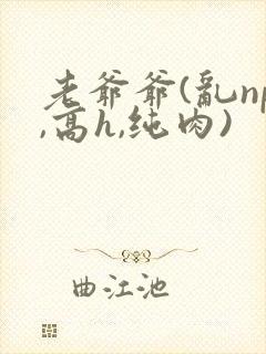 老爷爷(乱np,高h,纯肉)