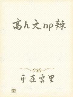 高h文np辣
