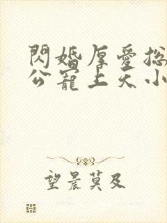 闪婚厚爱总裁老公宠上天小说免费阅读