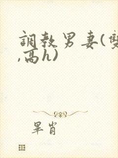 调教男妻(双性,高h)