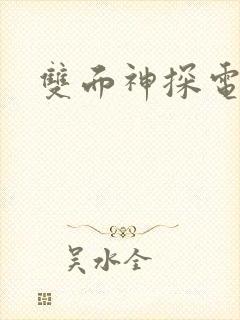 双面神探电视剧