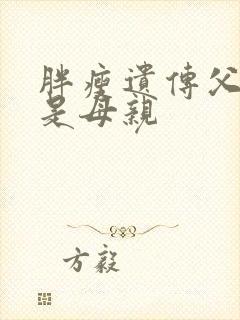 胖瘦遗传父亲还是母亲