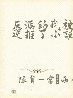 反派的我被女主逆推了小说