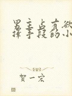 男主占有欲强不择手段的小说