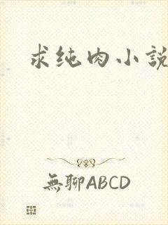求纯肉小说封面