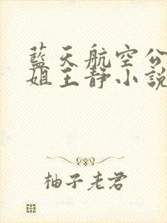 蓝天航空公司空姐王静小说封面